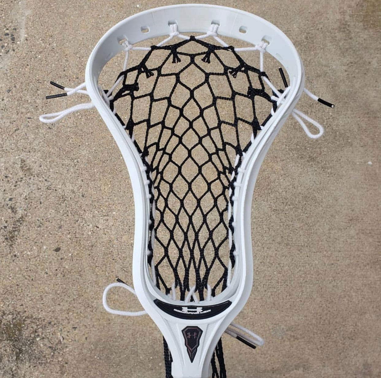 Dynasty Mesh