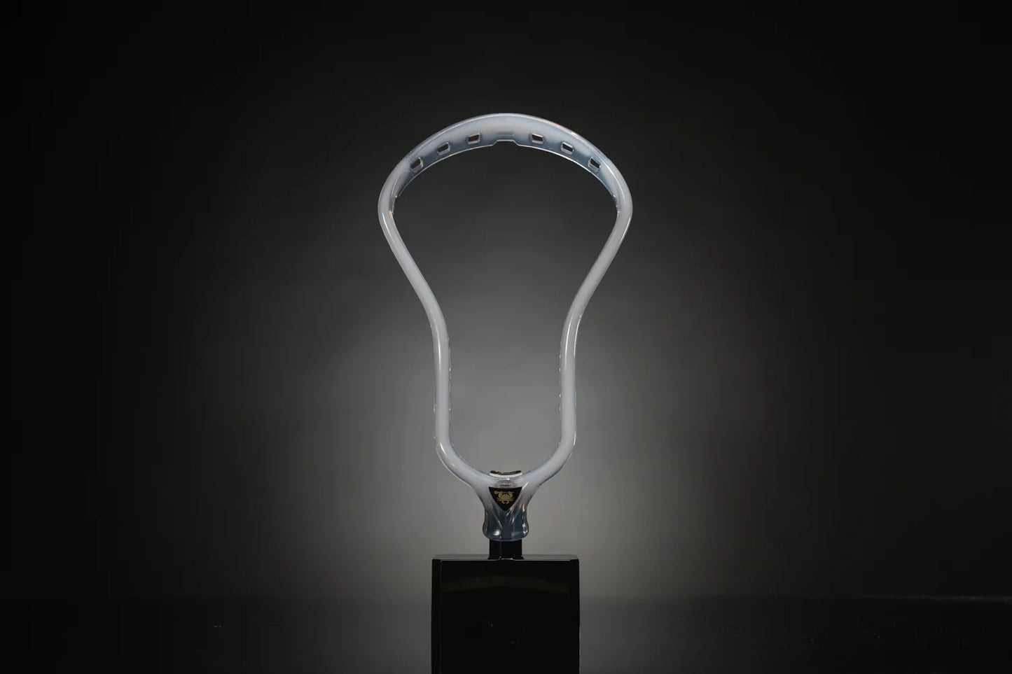 ECD Ion Project Beta Head