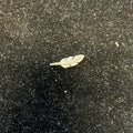 TWL Feather Charm