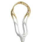 STX Stallion 1K Head