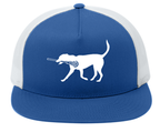 TWL Lax Dog Hat