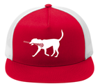 TWL Lax Dog Hat