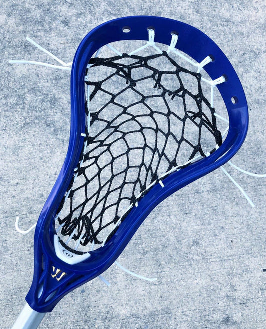 Dynasty Mesh