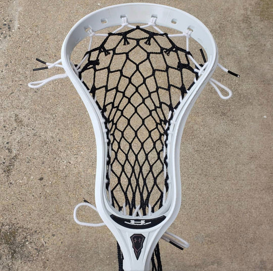 Dynasty Mesh