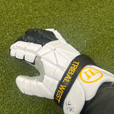Warrior Evo Gloves